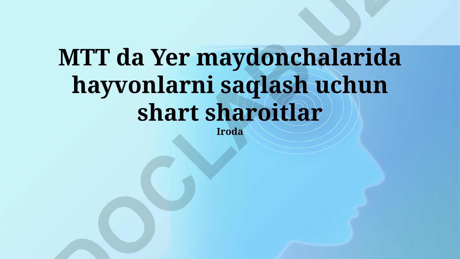 MTT da yer maydonchalarida hayvonlarni saqlash shartlari va javobgarlik