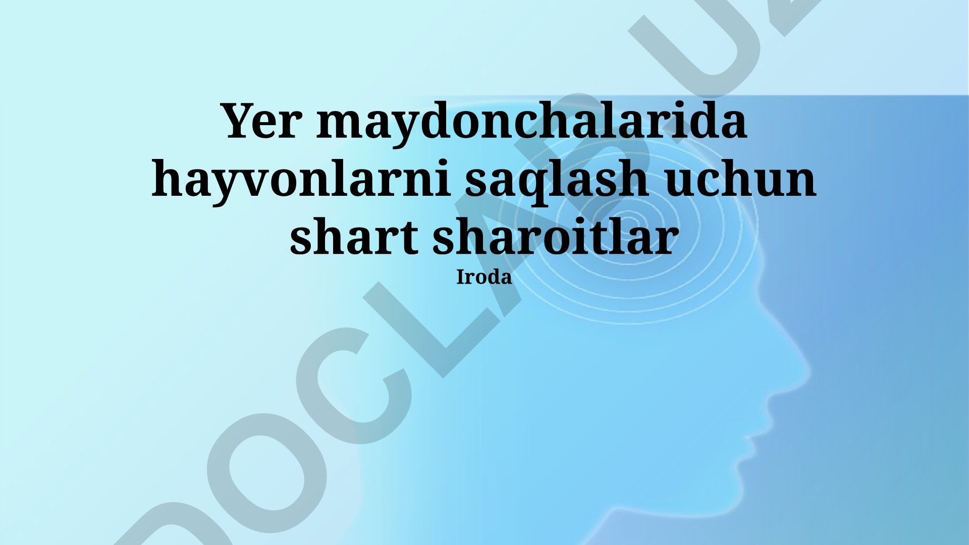 Yer maydonchalarida hayvonlarni saqlash uchun shart-sharoitlar