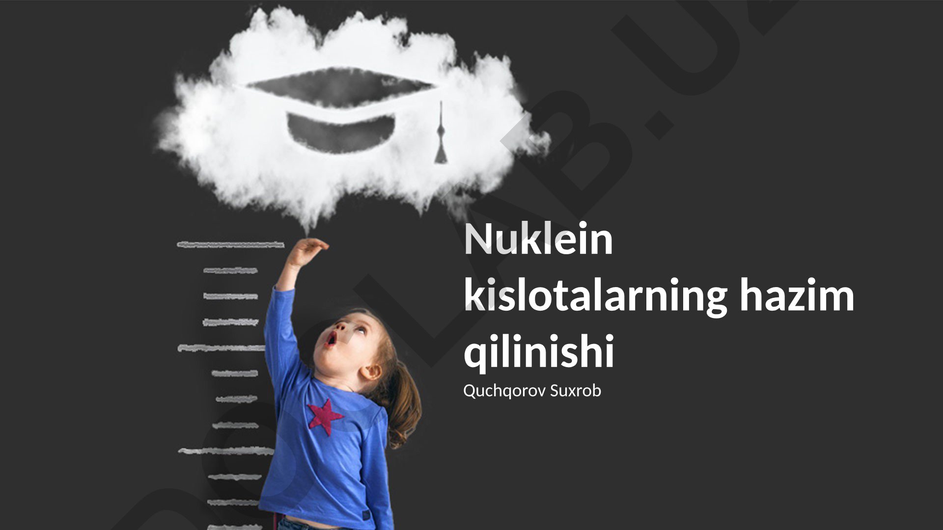 Nuklein kislotalarning hazim qilinishi