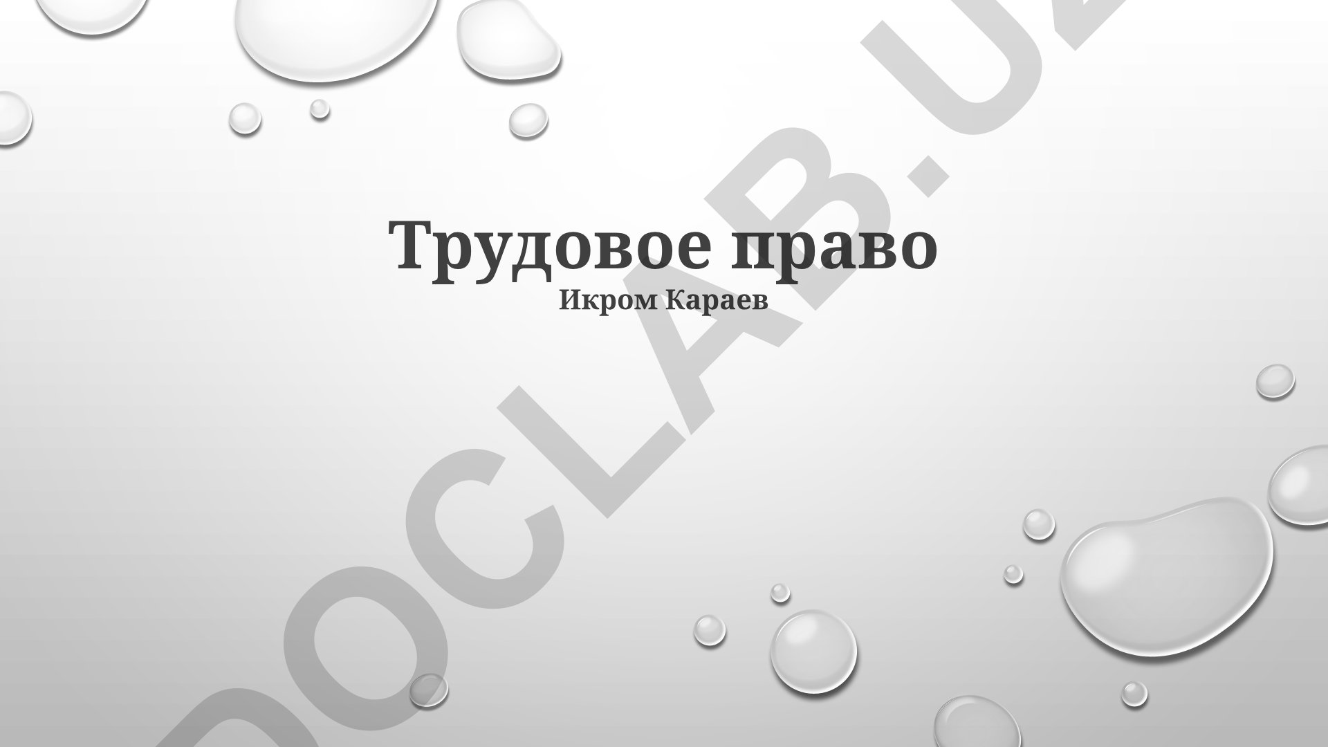 Трудовое право: разрешение споров, права и обязанности работодателя и работника