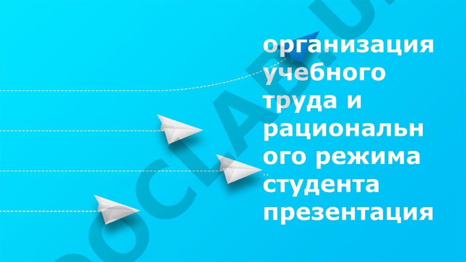 Организация учебного труда и рационального режима студента