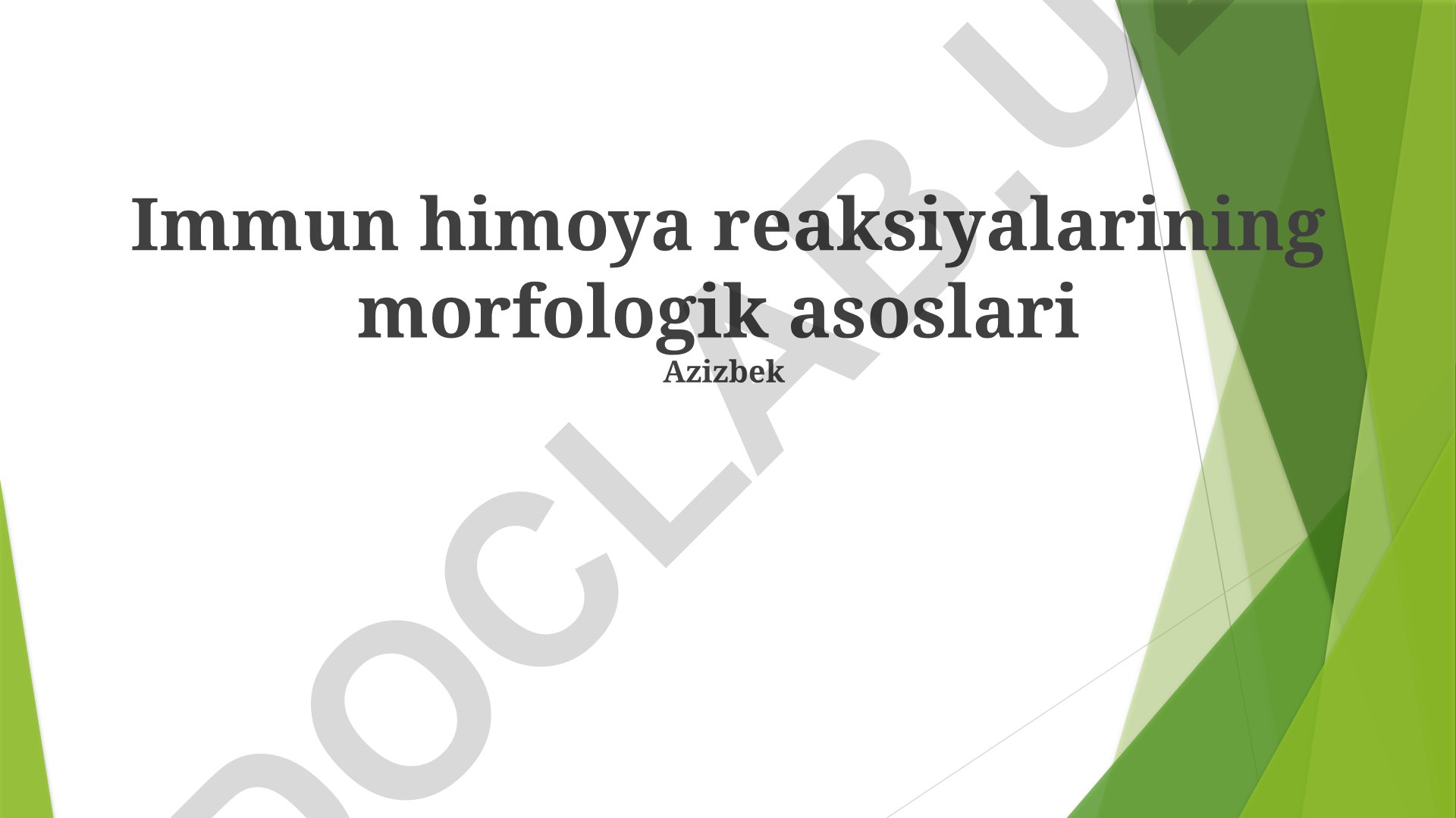 Immun himoya reaksiyalarining morfologik asoslari