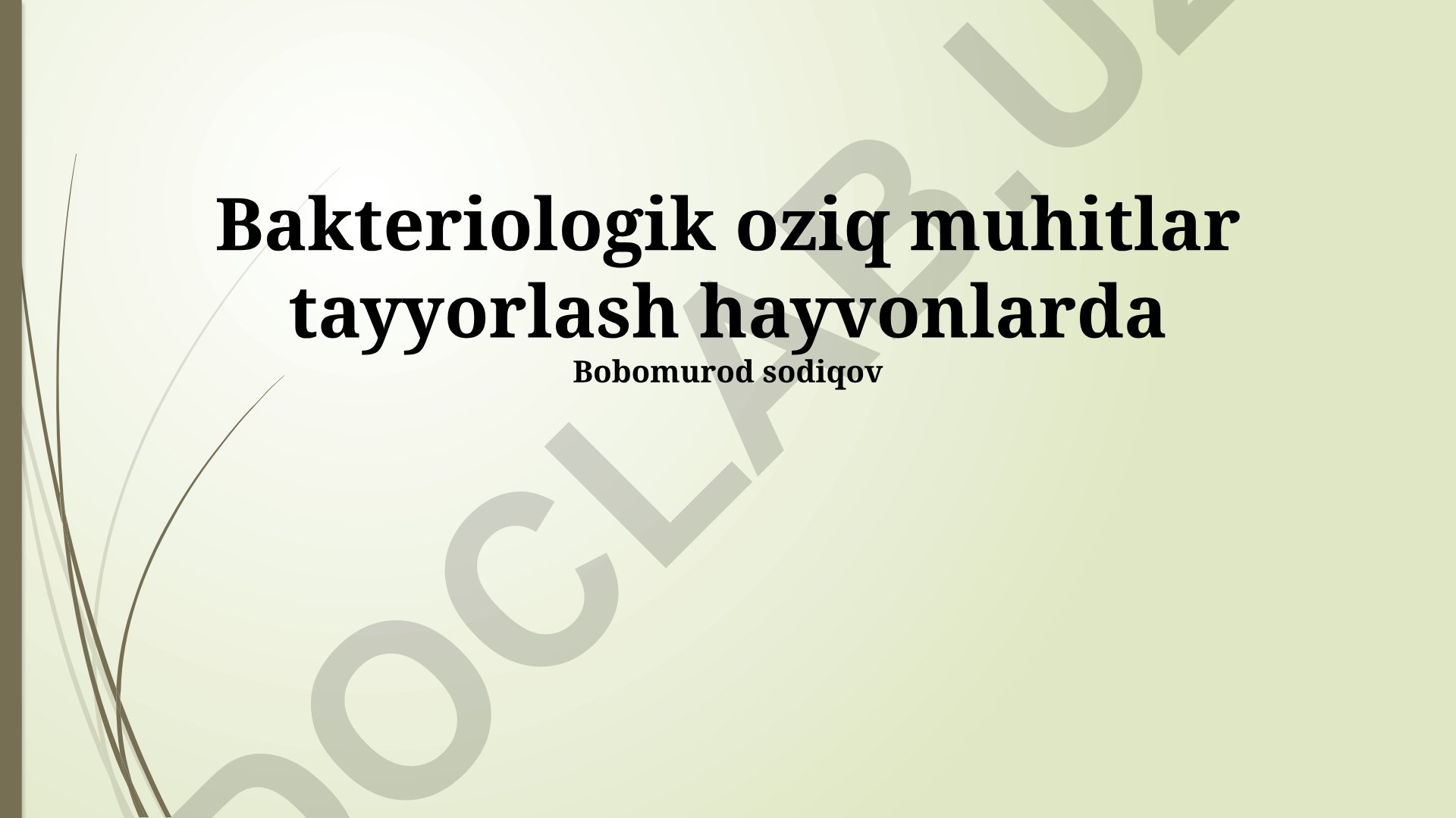 Hayvonlarda bakteriologik ozuqa muhitlarini tayyorlash va sifat nazorati