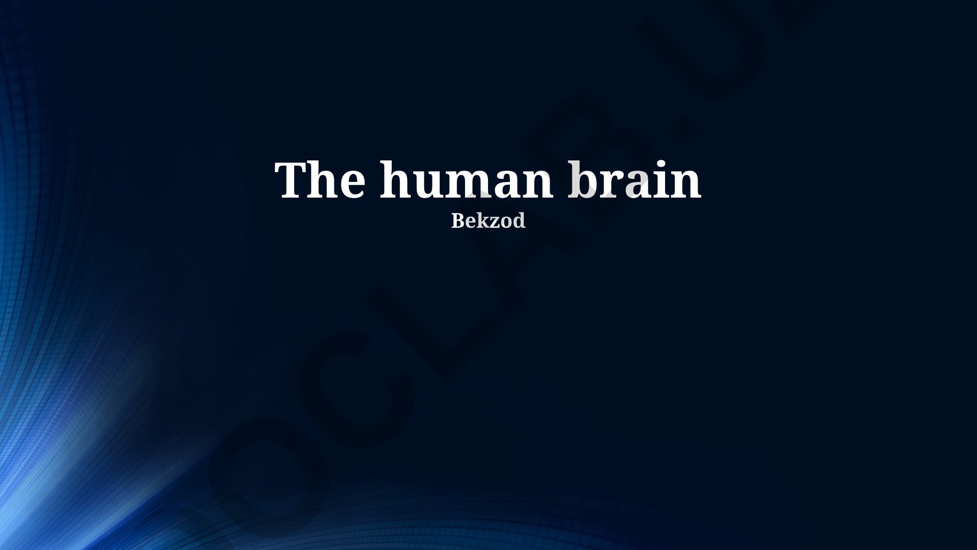 The Amazing Capabilities of the Brain