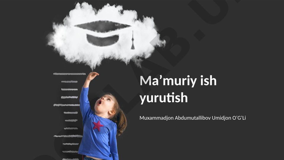 Ma'muriy boshqaruv tamoyillari va funktsiyalari