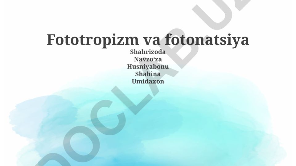 Fototropizm va fotonastiya: ta'riflar, mexanizmlar va ahamiyati