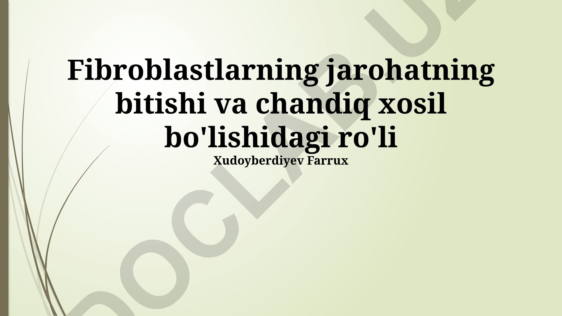 Fibroblastlarning jarohat bitishi va chandiq xosil bo'lishidagi roli