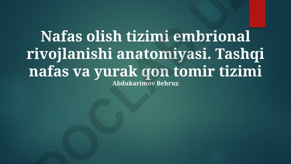 Nafas olish tizimi embrional rivojlanishi anatomiyasi