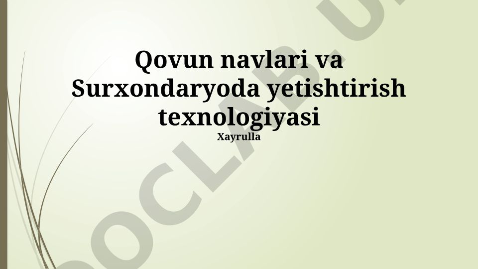 Surxondaryo qovun navlari va yetishtirish texnologiyasi