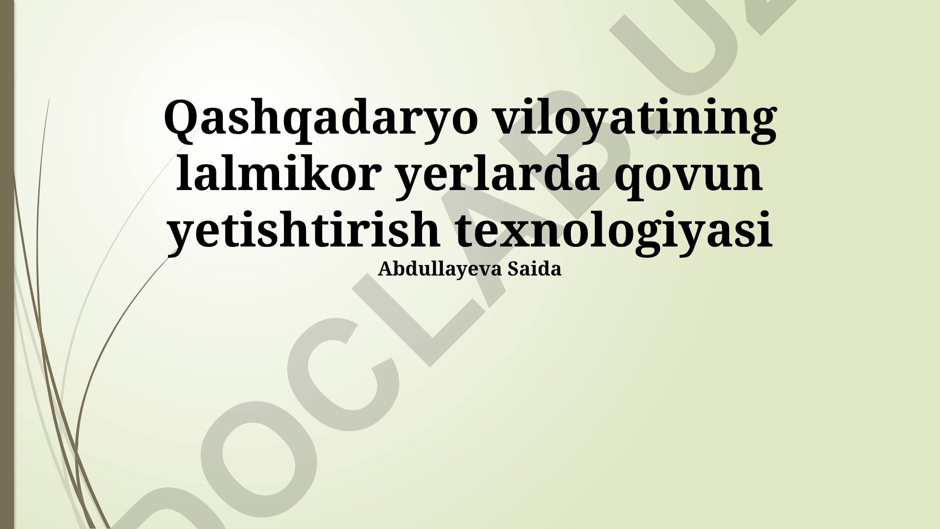 Qashqadaryo viloyatida qovun yetishtirish texnologiyasi
