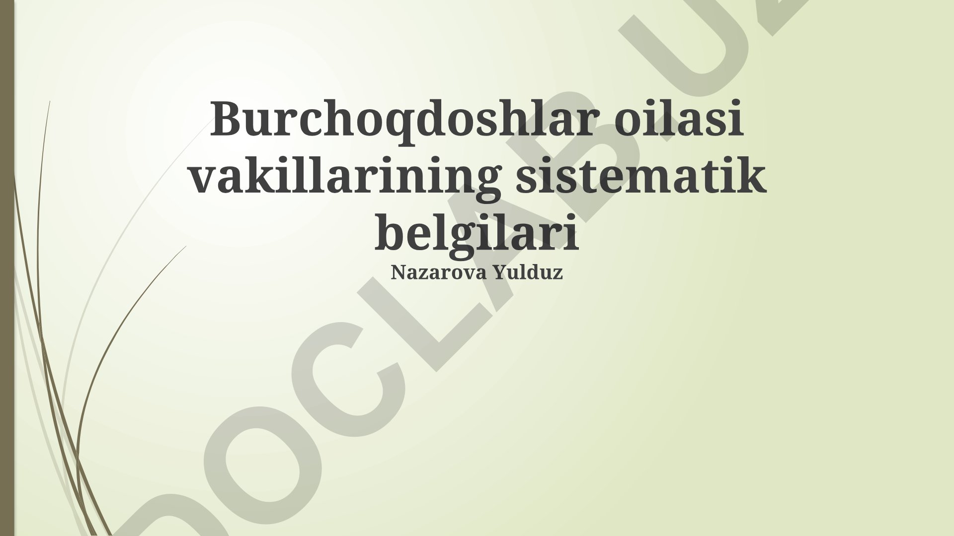 Burchoqdoshlar oilasi vakillarining sistematik belgilari