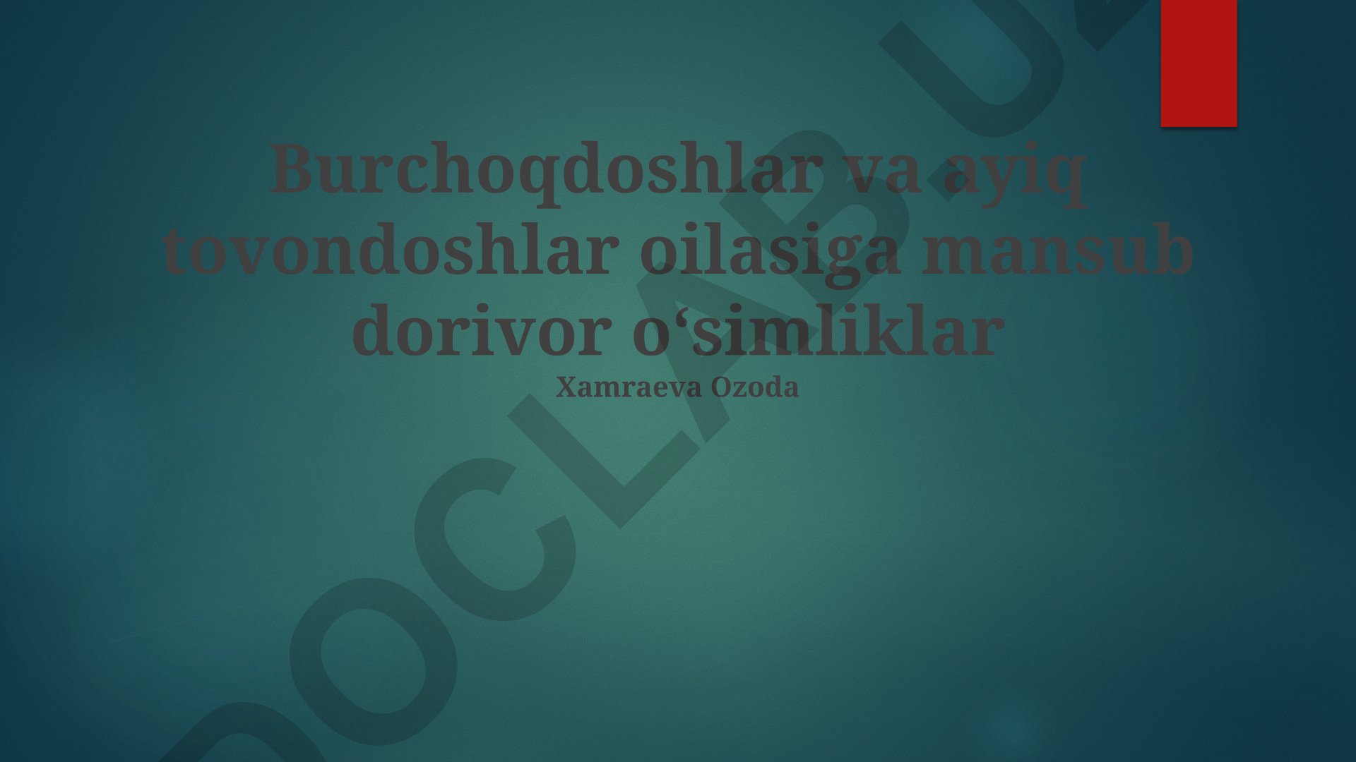 Burchoqdoshlar va ayiq tovondoshlar oilalariga mansub dorivor o'simliklar