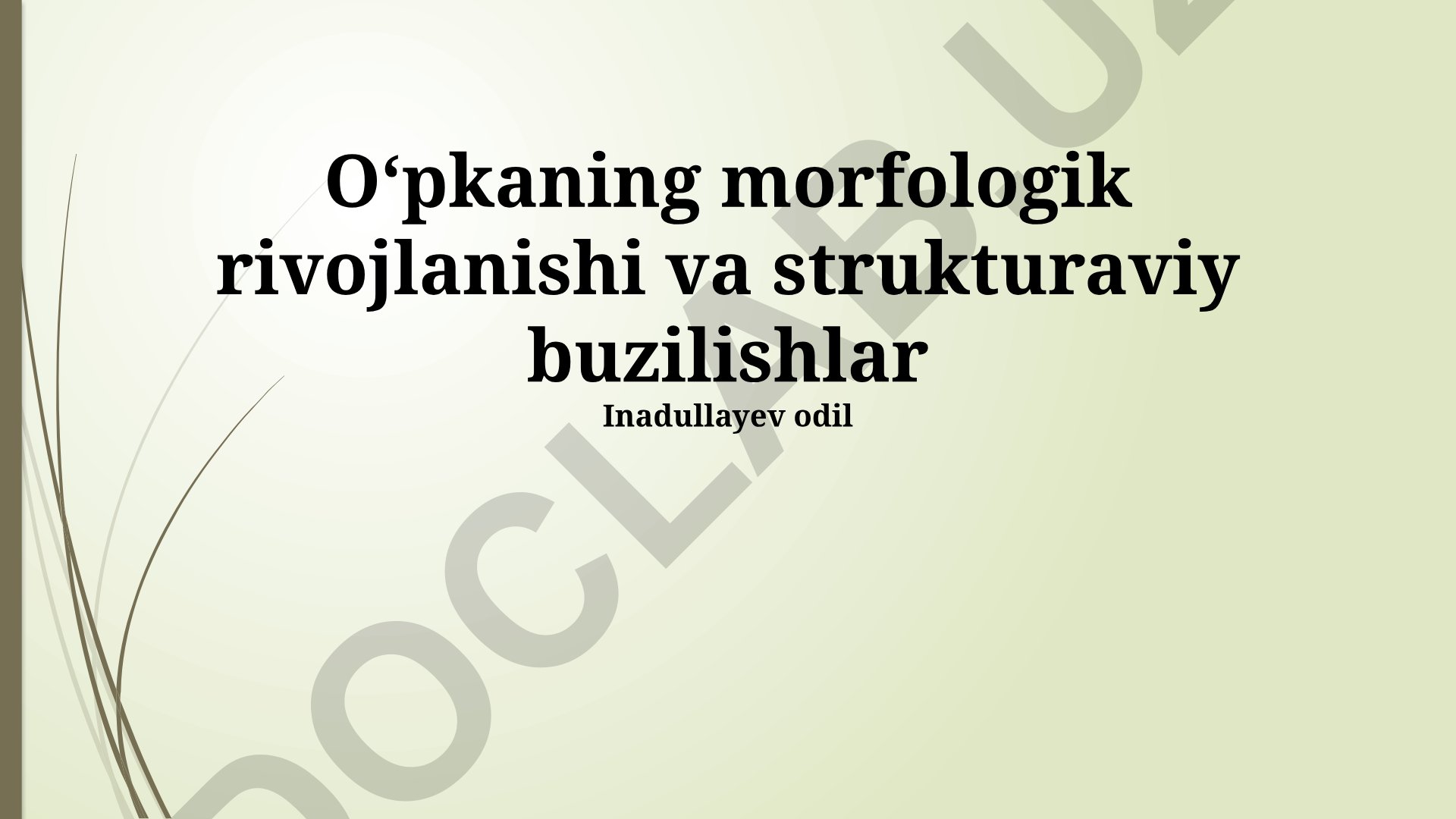 O'pkaning morfologik rivojlanishi va strukturaviy buzilishlar