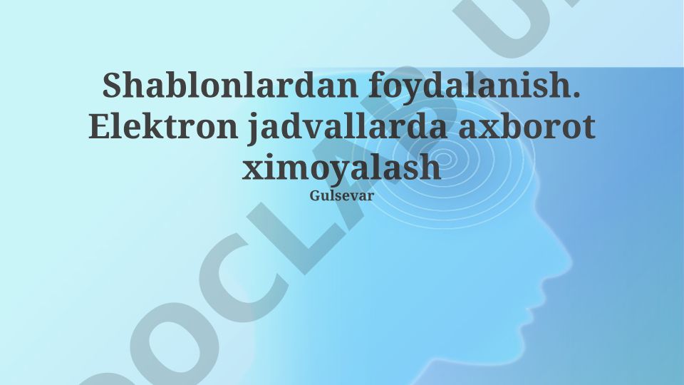 Elektron jadvallarda shablonlar bilan ishlash va ma'lumotlarni himoya qilish