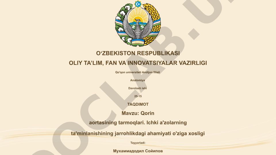Qorin aortasining tarmoqlari va ichki a'zolarning qon ta'minoti