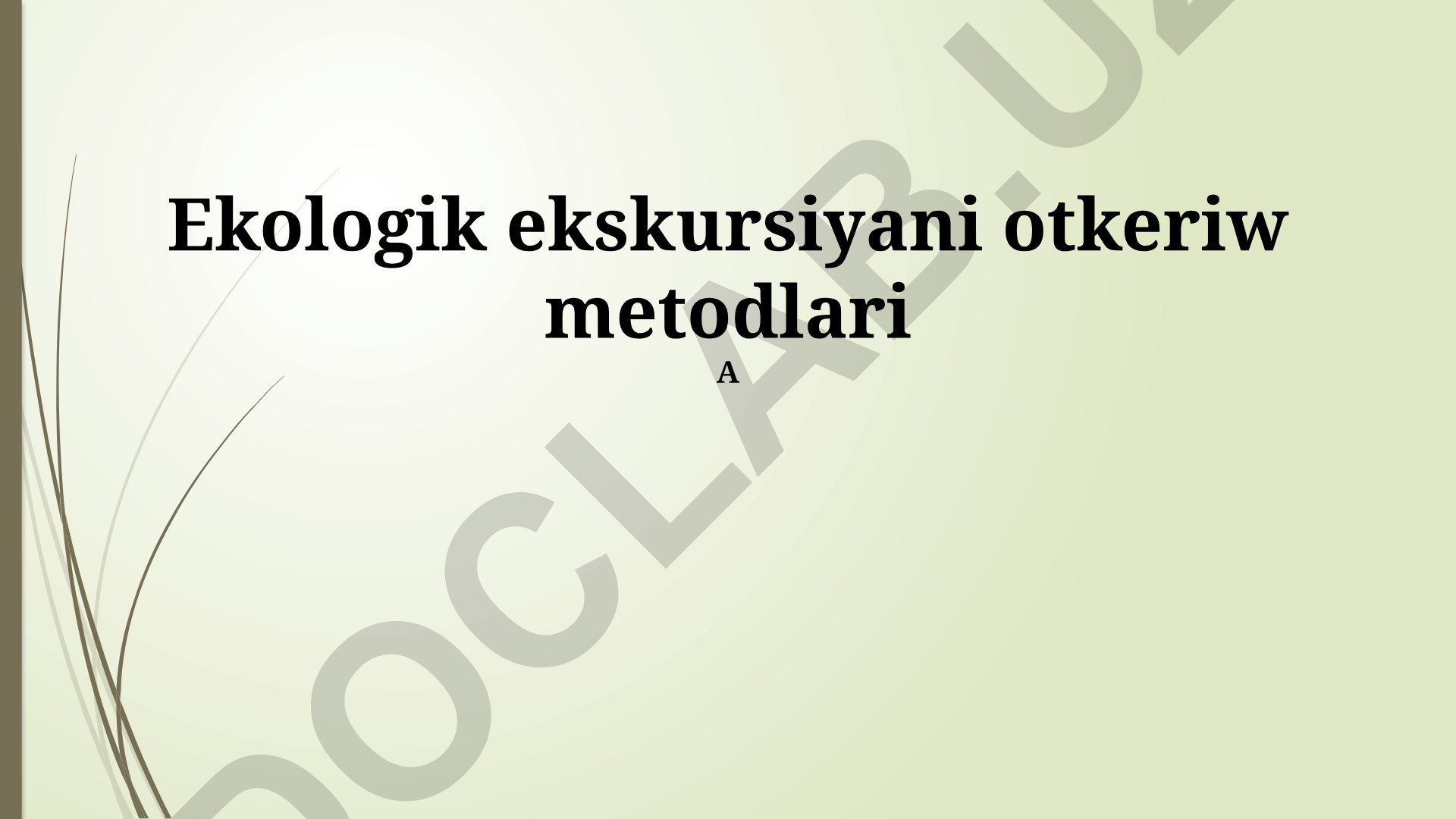 Ekologik ekskursiyani o'tkazish metodlari