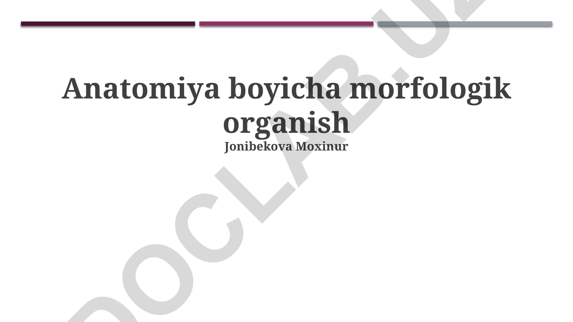 Anatomiya bo'yicha morfologik organish