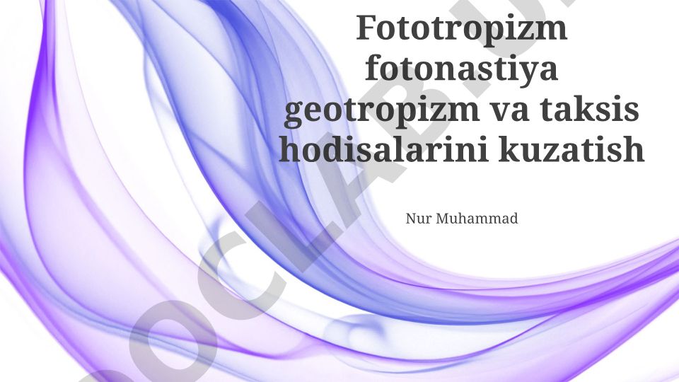 Fototropizm, fotonastiya, geotropizm va taksis hodisalarini kuzatish