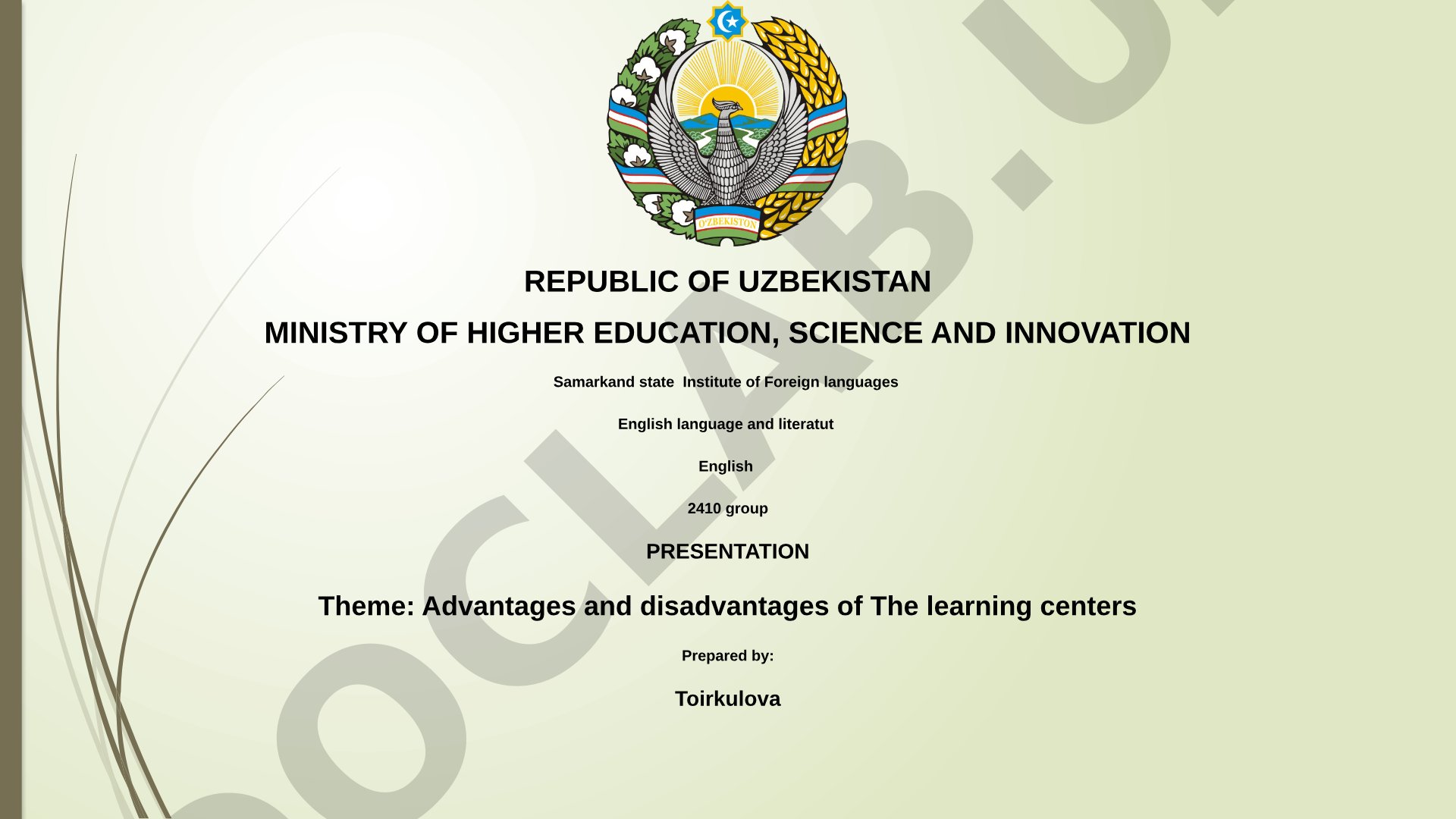 Advantages and disadvantages of the learning centers