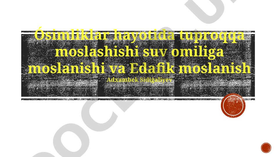 O'simliklarning tuproq va suv omillariga moslashishi