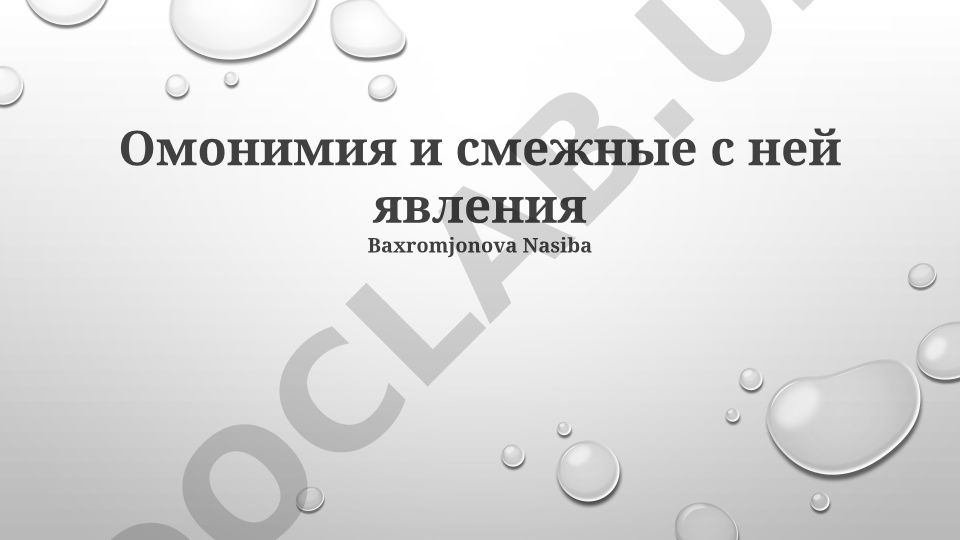 Омонимия и смежные с ней явления в русском языке