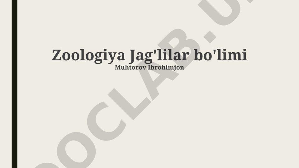Zoologiya Jag'lilar bo'limi: Hayvonlarning Adaptatsiyasi, Evolutsiyasi va Yashash Muhiti