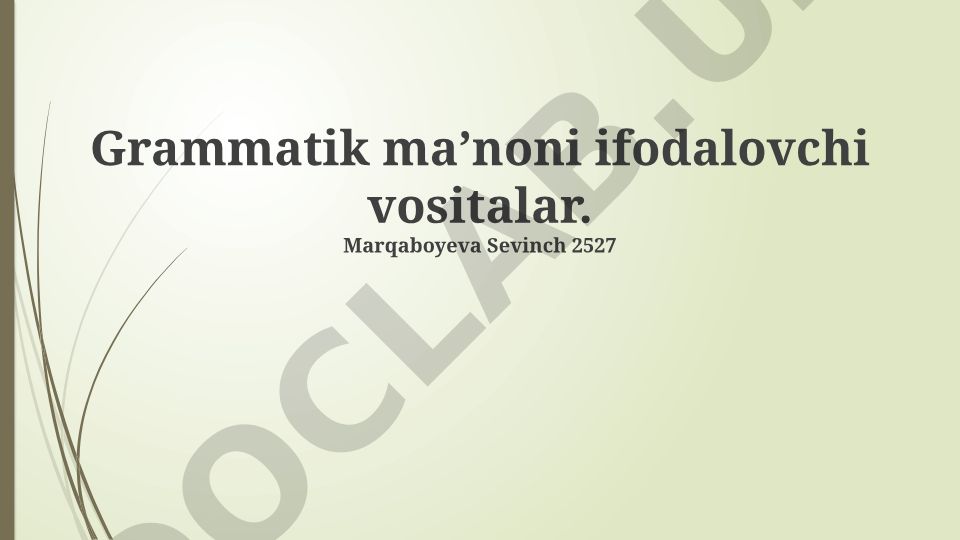 Grammatik ma’noni ifodalovchi vositalar