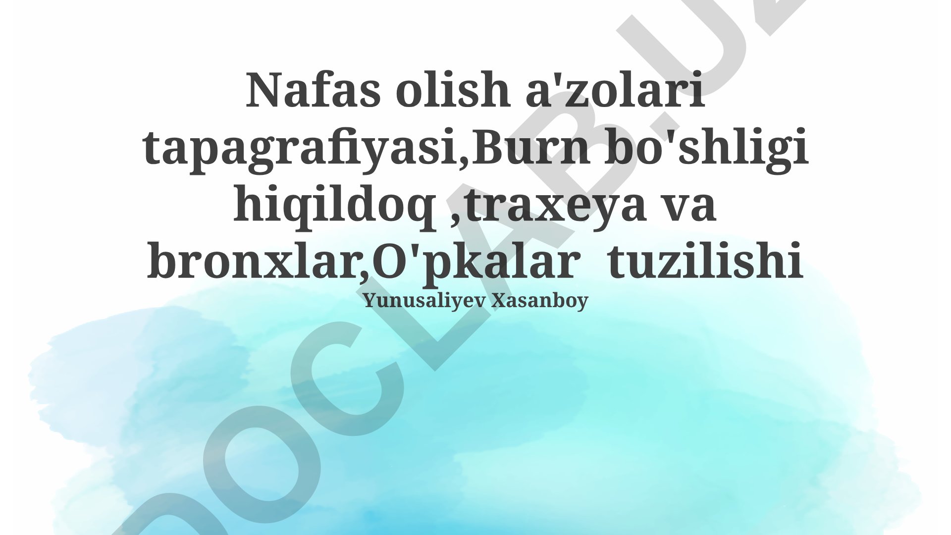 Nafas olish a'zolari topografiyasi va o'pka tuzilishi