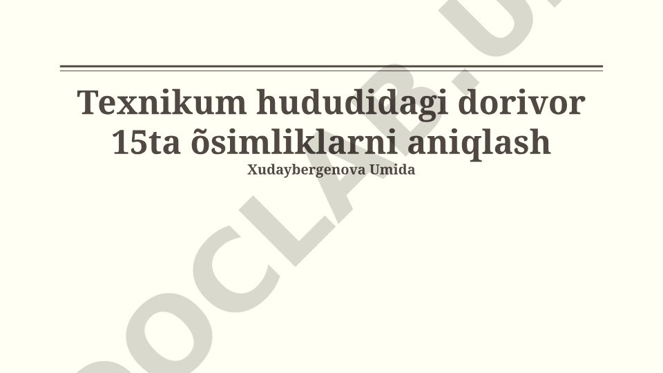 Texnikum hududidagi dorivor o'simliklarni aniqlash va ularning shifobaxsh xususiyatlari