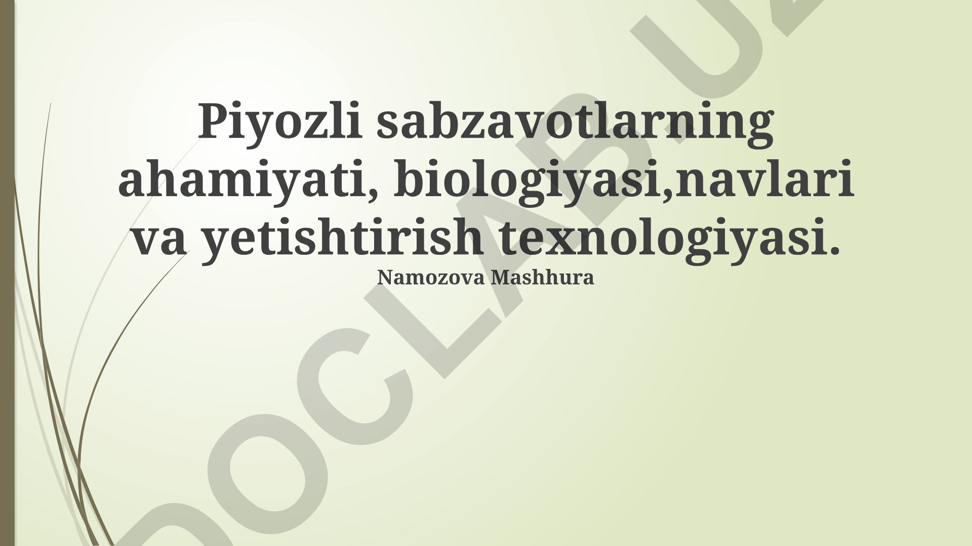 Piyozsimon sabzavotlarning biologiyasi, ahamiyati va yetishtirish texnologiyasi