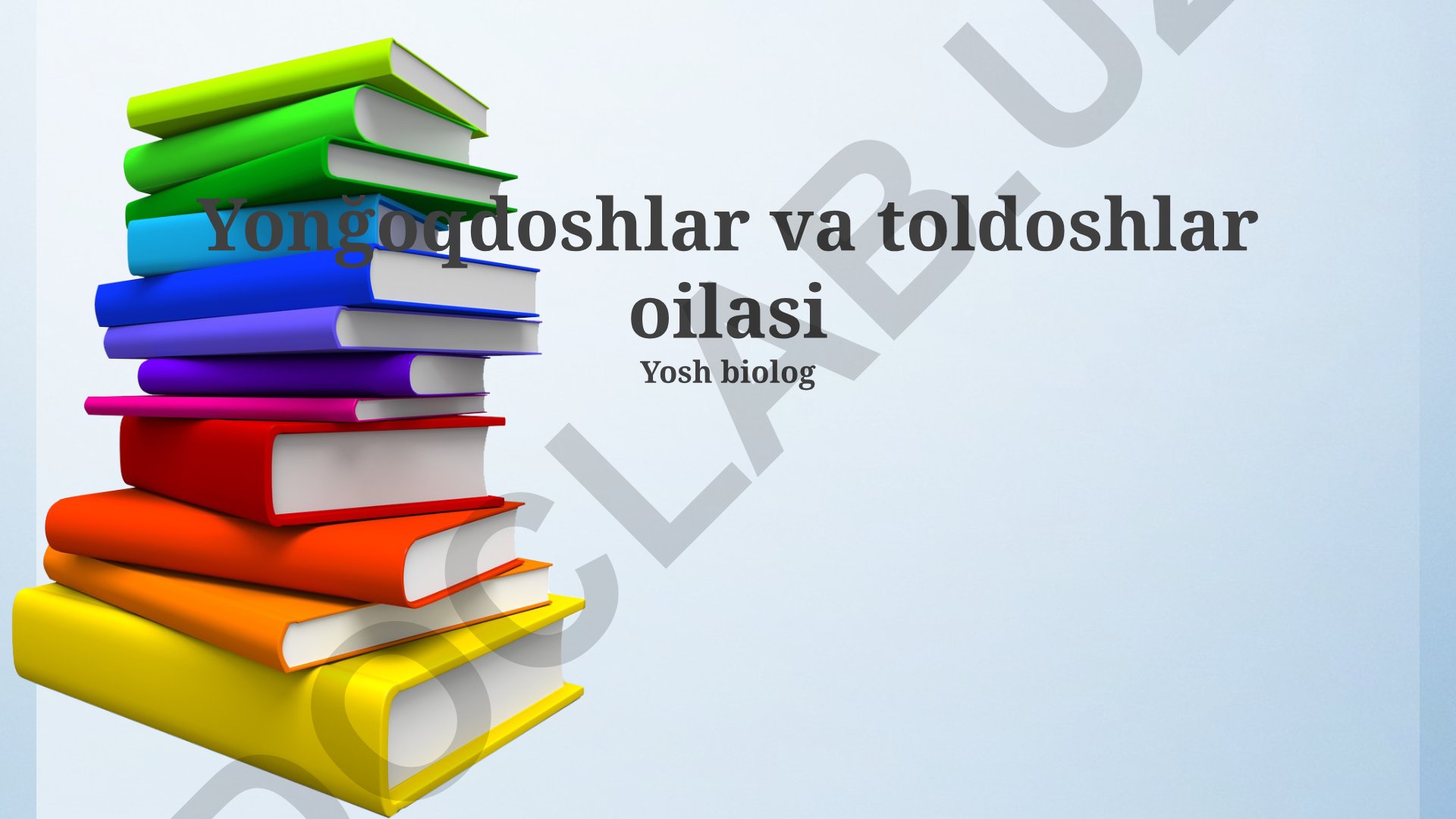 Yonğoqdoshlar va toldoshlar oilasi, kelajak avlodlar va an'analar