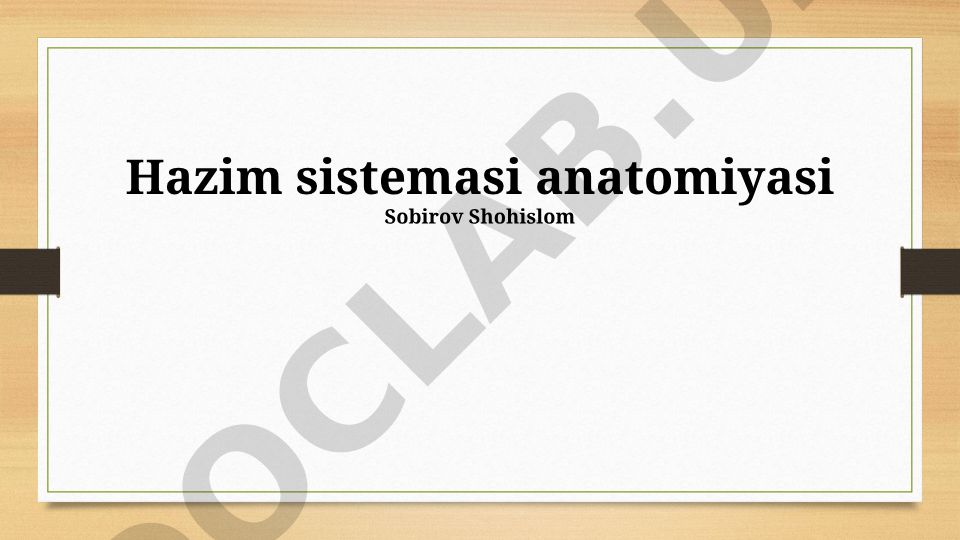 Hazim sistemasi anatomiyasi