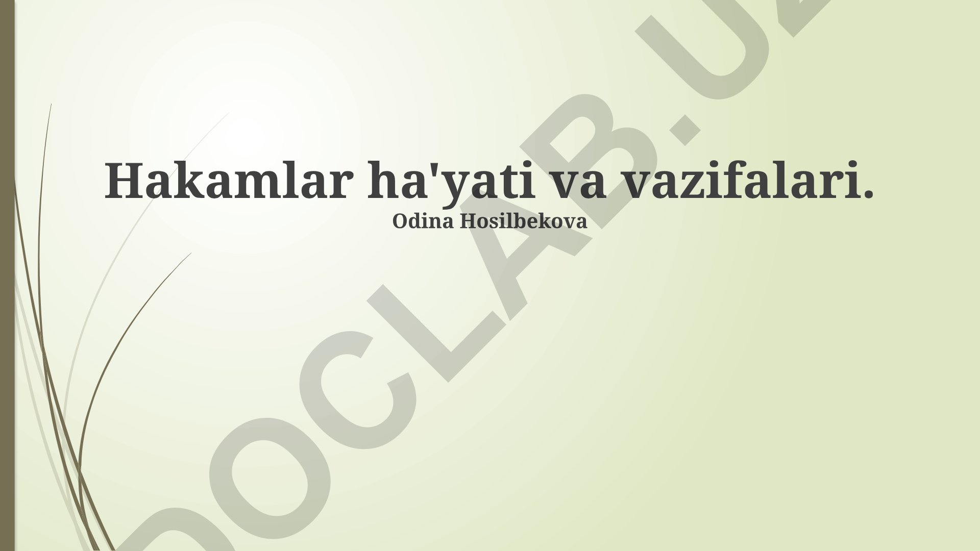 Hakamlar hay'ati va vazifalari