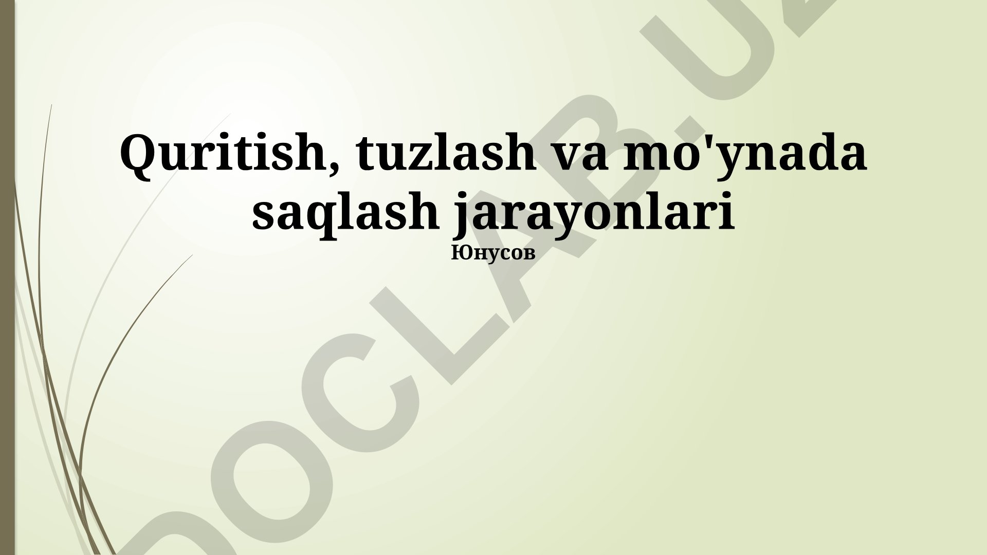 Quritish, tuzlash va mo'ynada saqlash jarayonlari