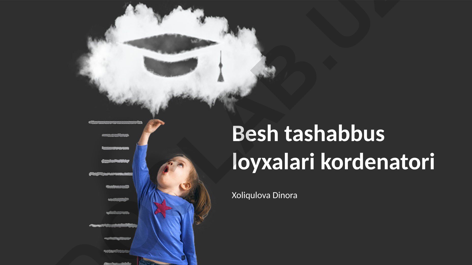 Besh tashabbus loyihalari koordinatori vazifalari va strategiyalari