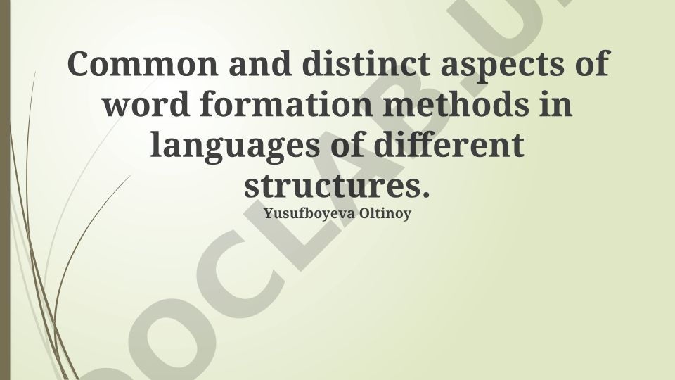 Common and distinct aspects of word formation methods in languages of different structures
