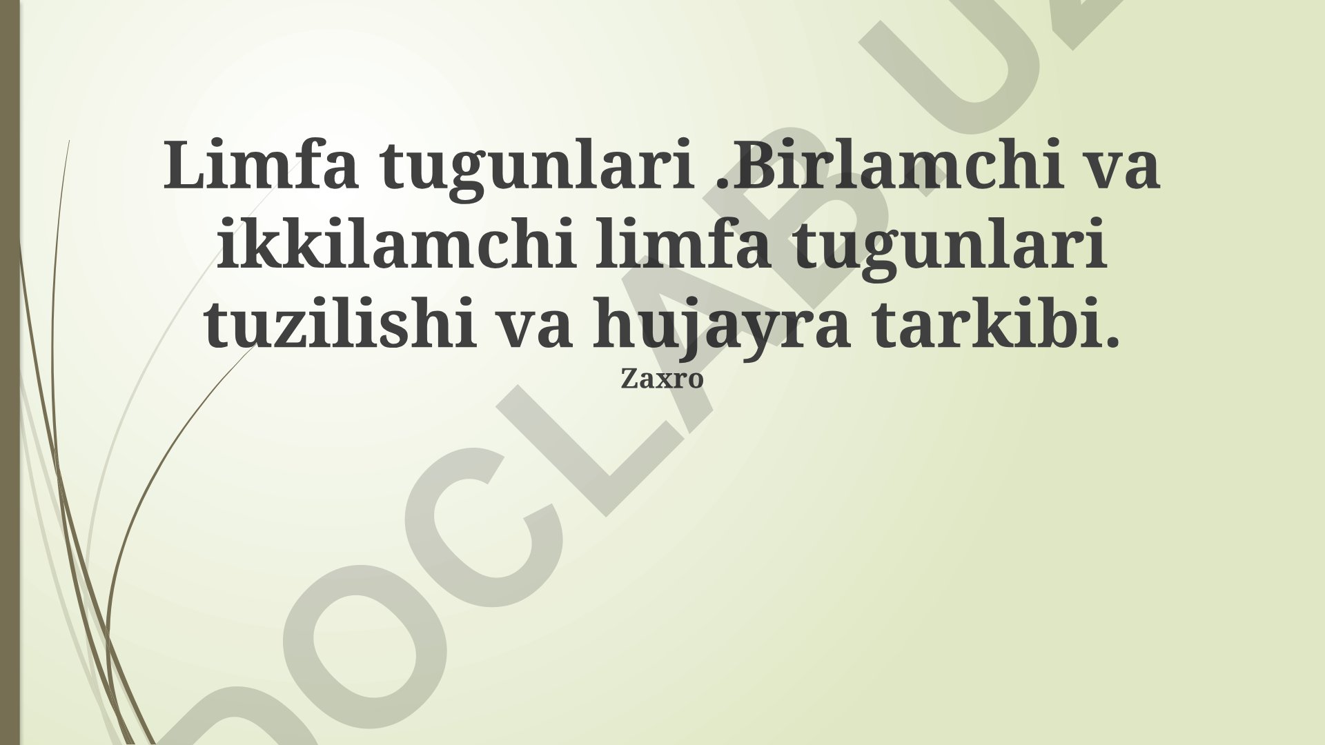 Limfa tugunlari tuzilishi va hujayra tarkibi