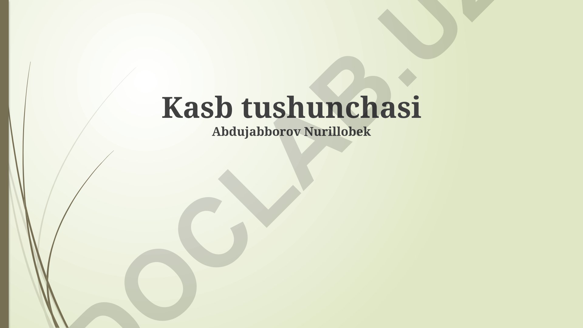 Kasb tushunchasi va uning jamiyatdagi ahamiyati