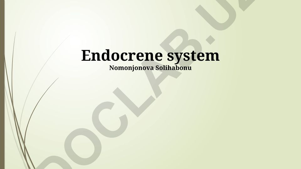 Endocrine System: Hormone Regulation, Glands, and Disorders