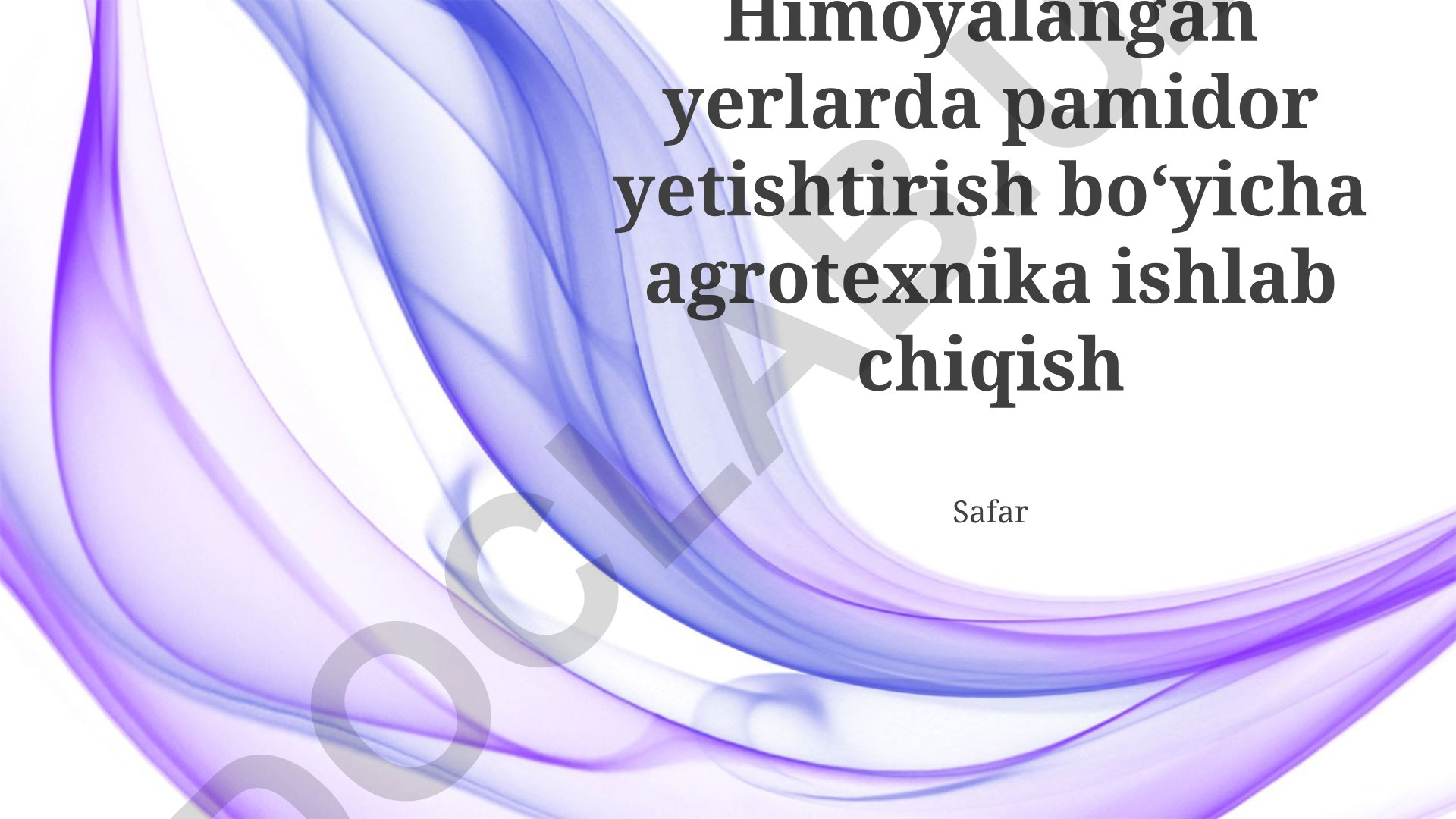 Himoya qilingan hududlarda pomidor yetishtirish agrotexnologiyalari