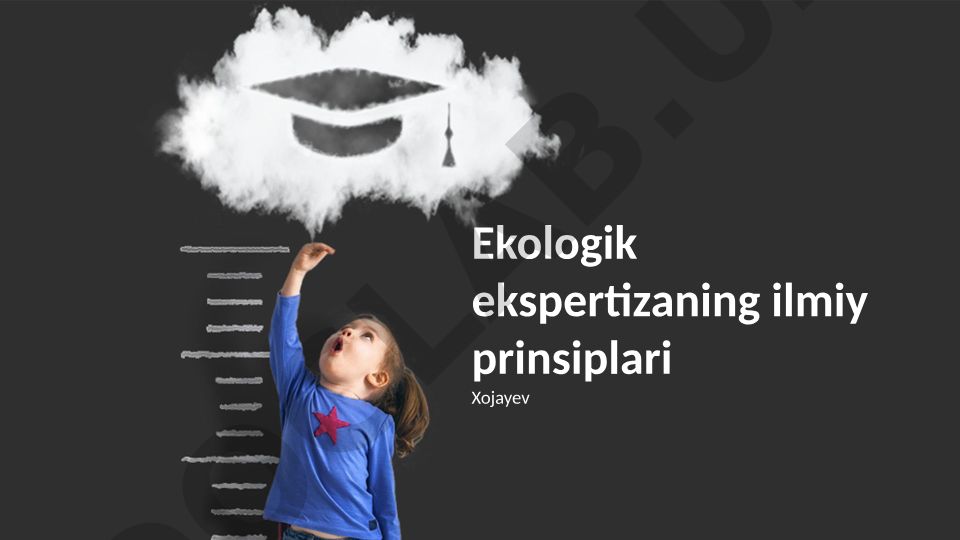 Ekologik ekspertizaning ilmiy prinsiplari