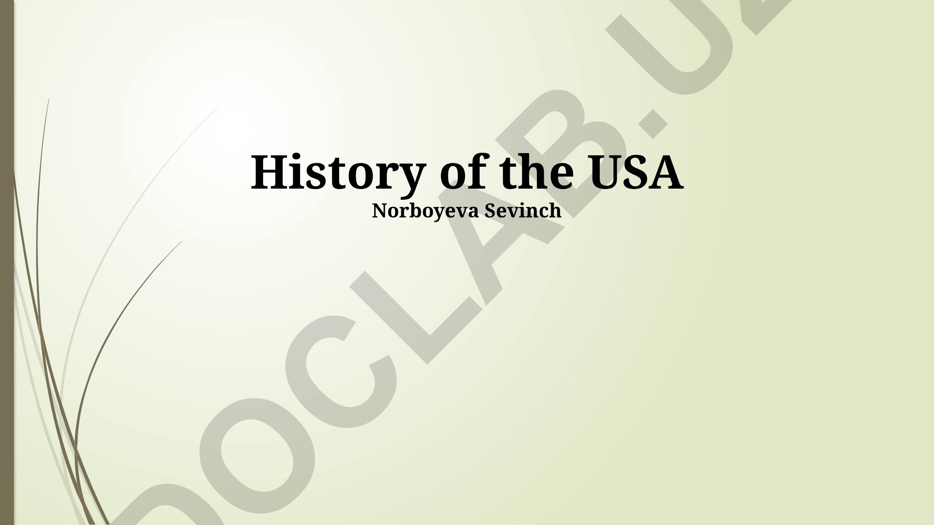 History of the USA: Colonial America to 21st Century