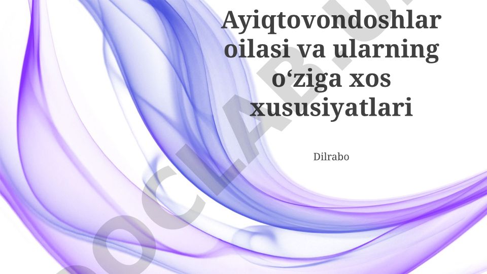 Ayiqtovondoshlar oilasi va ularning o‘ziga xos xususiyatlari