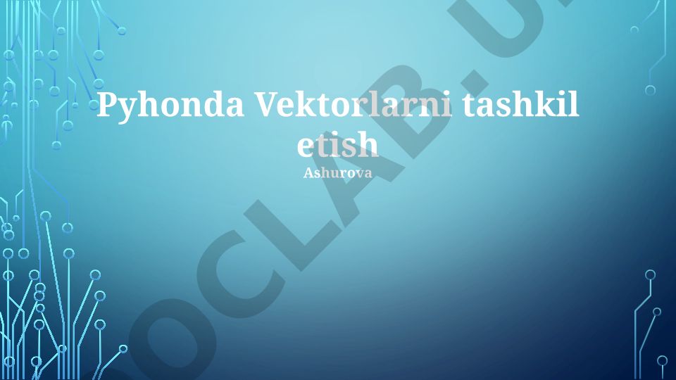 Python dasturlash tilida vektorlar va ularning qo'llanilishi