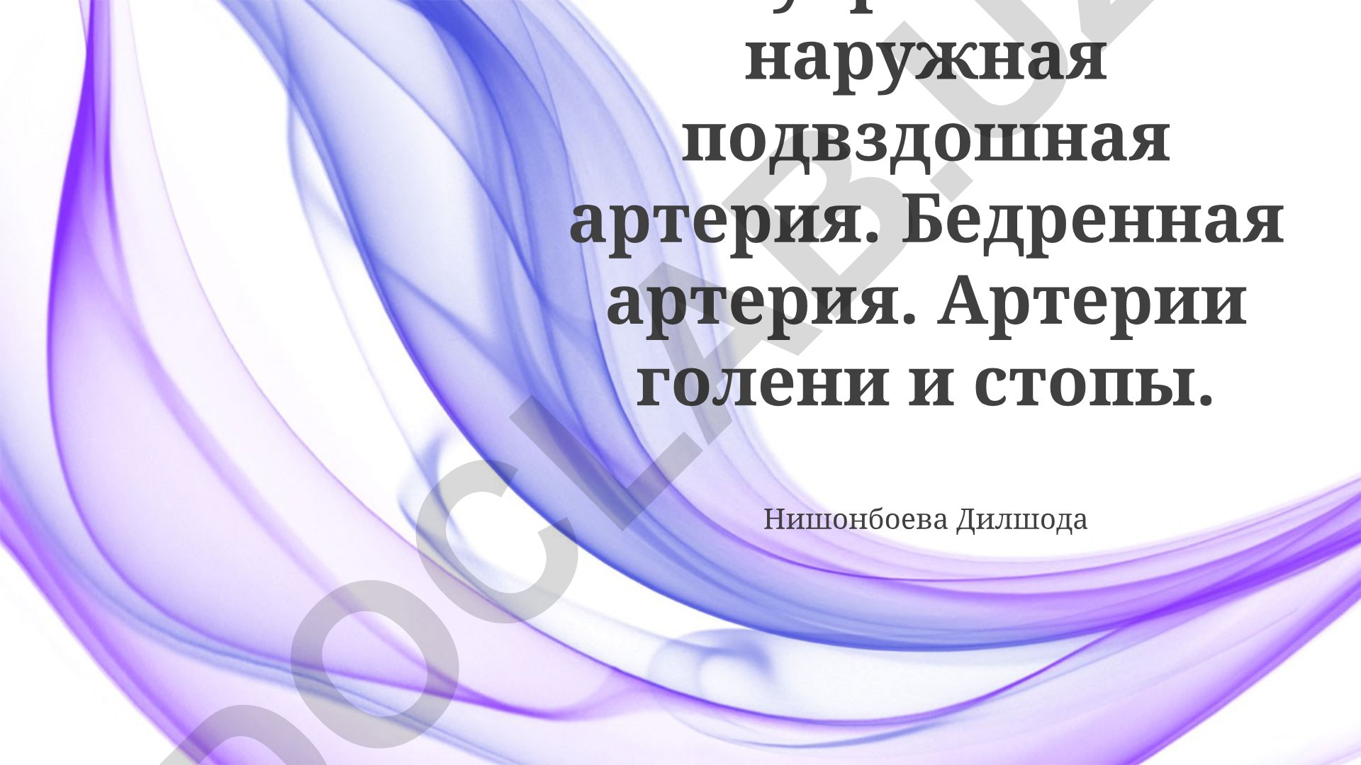 Внутренняя и наружная подвздошная артерия. Бедренная артерия. Артерии голени и стопы