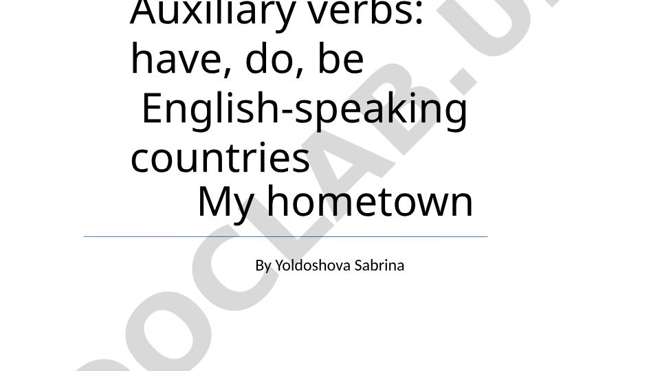 Auxiliary Verbs Have Do Be in English-Speaking Countries and My Hometown