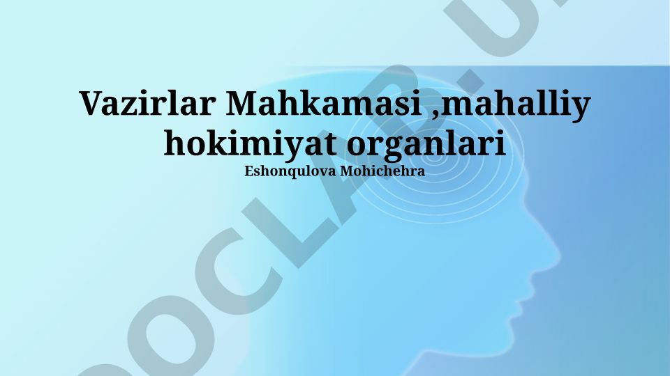 Vazirlar Mahkamasi va mahalliy hokimiyat organlari