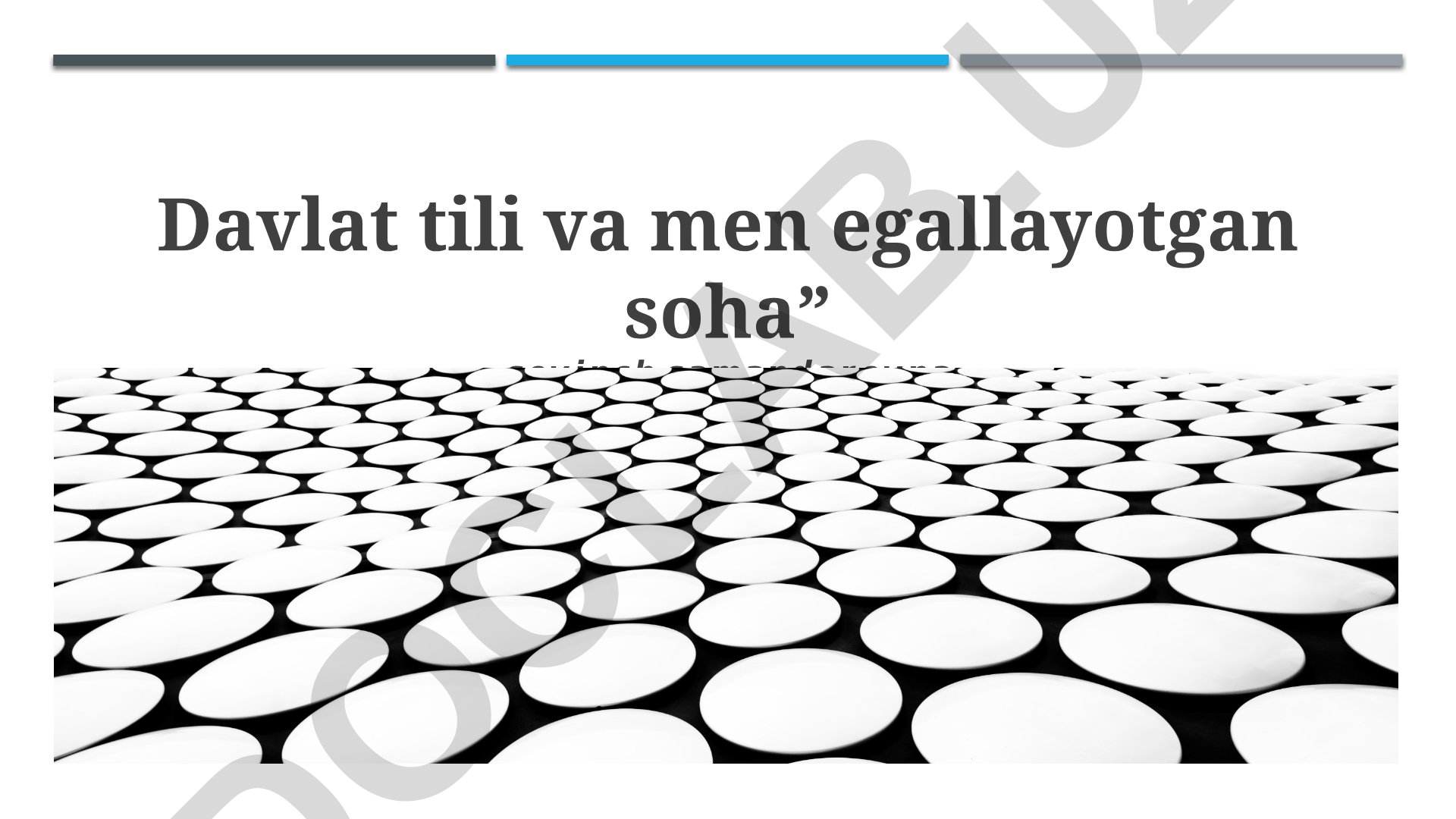 Davlat tili asoslari va soha bilan bog'liq til talablari