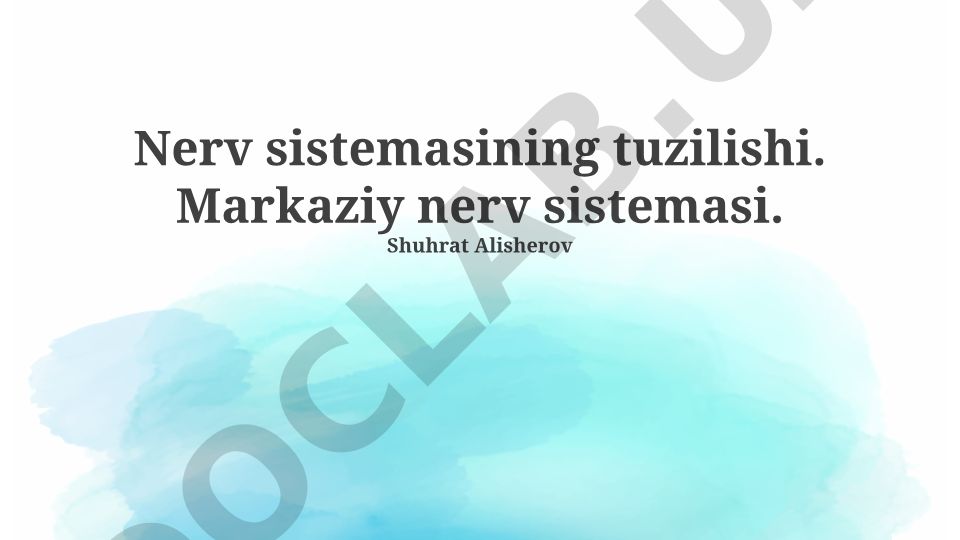 Nerv sistemasining tuzilishi va markaziy nerv sistemasi