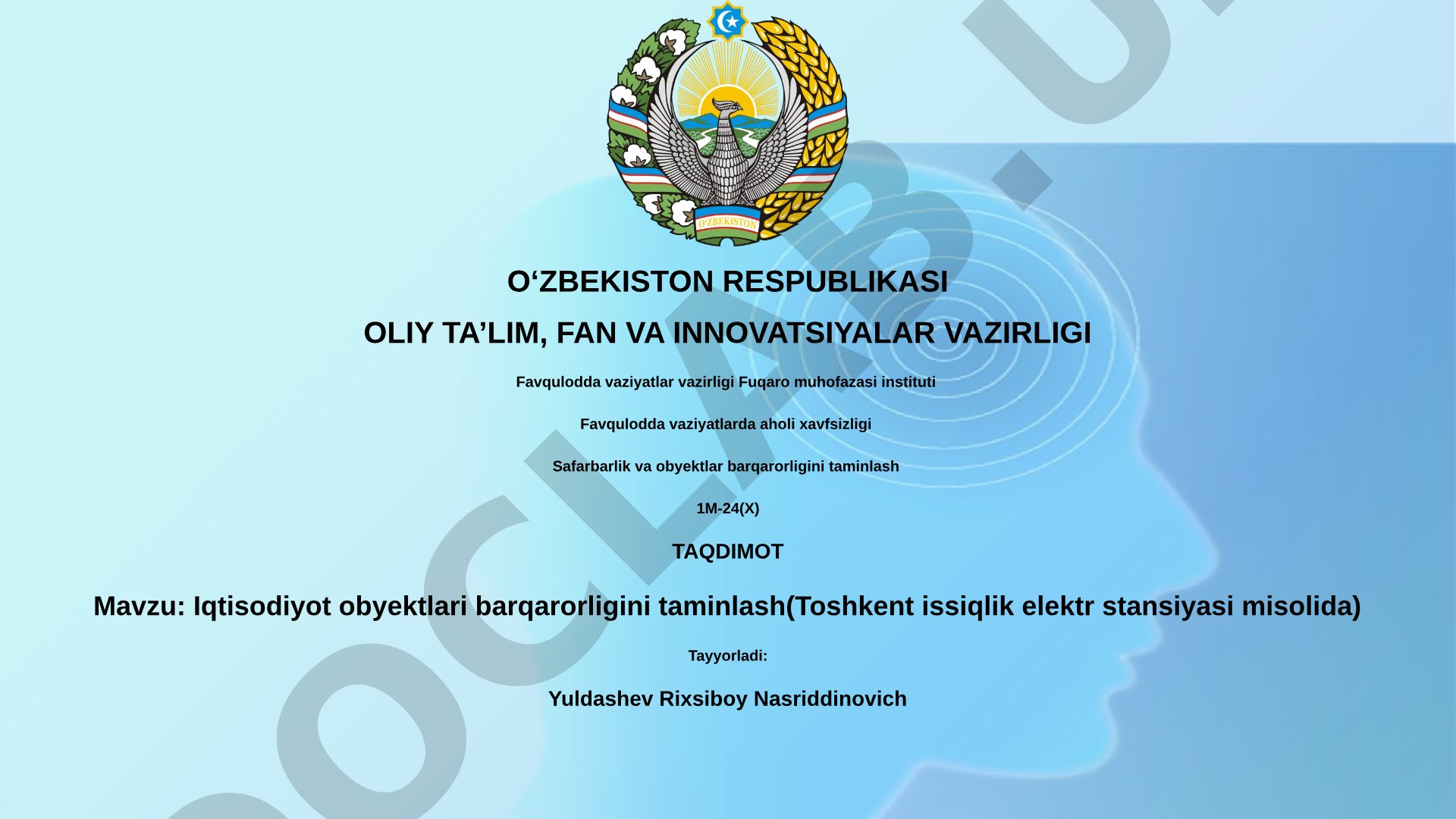 Iqtisodiyot obyektlari barqarorligini ta'minlash (Toshkent issiqlik elektr stansiyasi misolida)